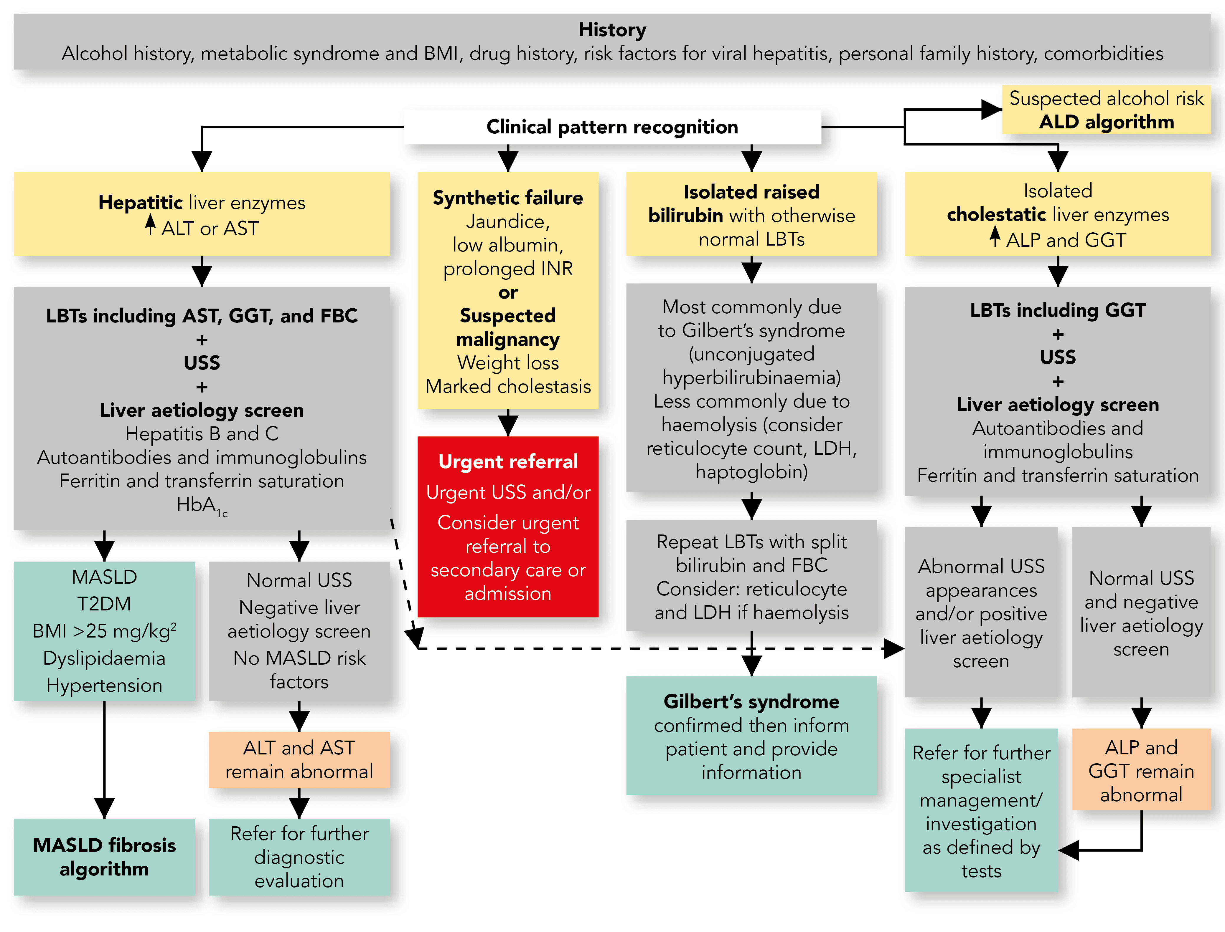 Liver Blood Test Interpretation: Primary Care Hack